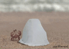 Humor - Fun Animales Cangrejos 01 