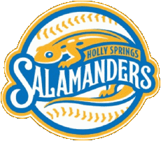 Deportes Béisbol U.S.A - CPL - Coastal Plain League Holly Springs Salamanders 