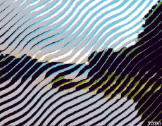 Umorismo -  Fun GIF Artista Bill Tavis 