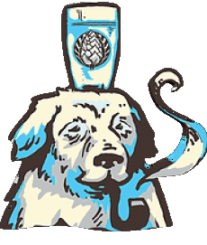 Getränke Bier Kosovo Sabaja 