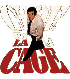 Multi Media Movie France Lino Ventura La Cage 