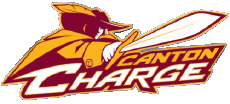 Sport Basketball U.S.A - N B A Gatorade Canton Charge 