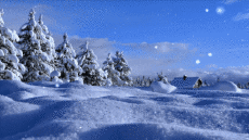 Messages English Merry Christmas Video 