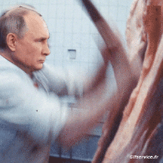 Humor -  Fun MENSCHEN Politik - International Wladimir Poutine 