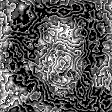 Humor -  Fun GIF Künstler Bill Tavis 