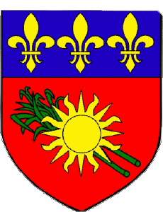 Drapeaux France Départements - Villes 971 Guadeloupe 