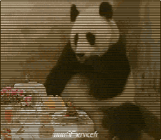 Umorismo -  Fun Animali Orso 01 