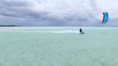 Humor -  Fun Sports Kite Surf Fun Win 