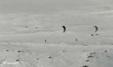 Humor - Fun Deportes Snowboard con cometa Fun - Win 