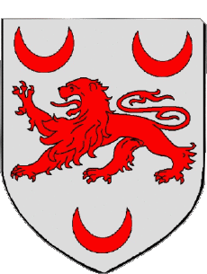 Blason-Drapeaux France Départements - Villes 11 GRUISSAN 