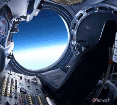 Humor - Fun Animales Gatos 05 