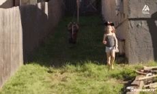 Humor -  Fun Sport Taggle rope Fun Win 