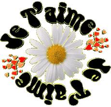 Messages Français Je T'aime 05 