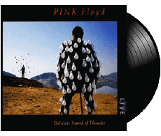 Delicate Sound of Thunder-Multimedia Música Pop Rock Pink Floyd 
