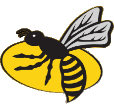 Deportes Rugby - Clubes - Logotipo Inglaterra London Wasps 