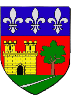 Blasón-Banderas Francia Departamentos - Ciudades 09 LA TOUR DU CRIEU Blasón