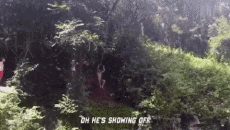 Humor -  Fun MENSCHEN Wie Tarzan Fun Win 