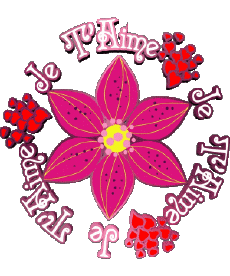 Messagi Francese Je T'aime 02 