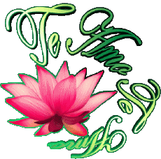 Messages Spanish Te Amo 03 