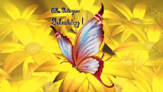 Messages German Alles Gute zum Geburtstag Schmetterlinge Animated Background 001 