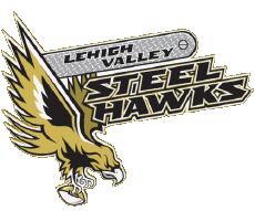 Sport Amerikanischer Fußball U.S.A - NAL National Arena League Lehigh Valley Steelhawks 