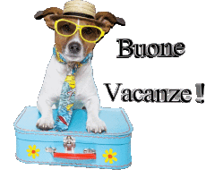 Mensajes Italiano Buone Vacanze Fondo transparente 29 