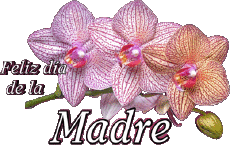Messages Spanish Feliz día de la madre 05 