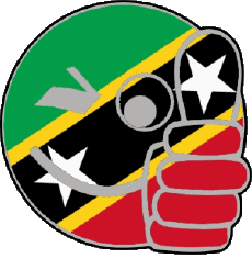 Bandiere America Saint Kitts e Nevis Faccina - OK 