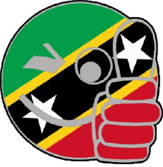 Fahnen Amerika St. Kitts und Nevis Smiley - OK 