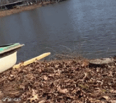 Humour - Fun Transports Bateaux Chutes Fail Gamelles 