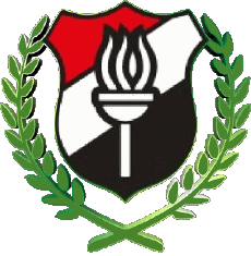 Sports FootBall Club Afrique Egypte El Dakhleya Football Club 