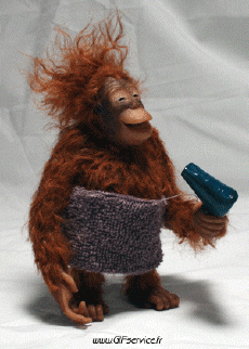 Humor -  Fun Tiere Affen 01 