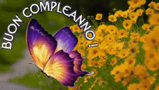 Nachrichten Italienisch Buon Compleanno Farfalle Animierter Hintergrund 004 