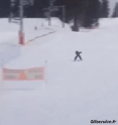 Humor -  Fun Sports Ski Fail Various 