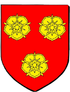 Banderas Francia Departamentos - Ciudades 71 TOULON SUR ARROUX 