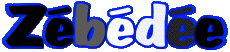 Prénoms MASCULIN - France Z Zébédée 