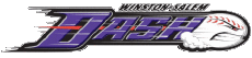 Sports Baseball U.S.A - Carolina League Winston-Salem Dash 