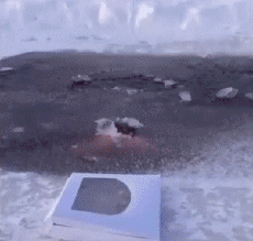 Humor -  Fun PEOPLE On the ice Fun - Win 