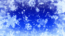 Nachrichten Spanisch Felices Fiestas Video 