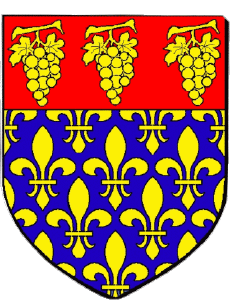 Banderas Francia Departamentos - Ciudades 94 VILLENEUVE LE ROI 