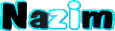 First Names MASCULINE - Maghreb Muslim N Nazim 