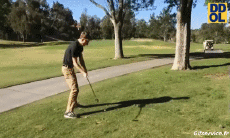 Humor -  Fun Sport Golf Fail 