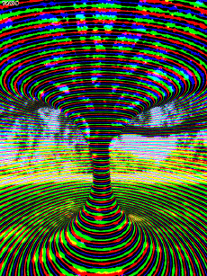 Humor -  Fun GIF Artists Bill Tavis 