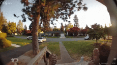 Humor -  Fun Transport Cars Accident  Fail 02 