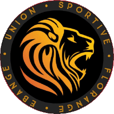 Deportes Fútbol Clubes Francia Grand Est 57 - Moselle US Florange Ebange 