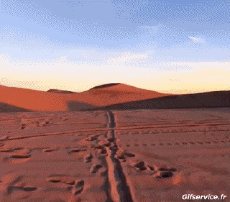 Humour - Fun Transports Motos Cross Fun Win 02 