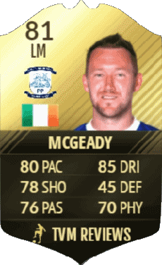Multi Media Video Games F I F A - Card Players Ireland Aiden McGeady 