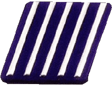 1991-Transporte Coche Fiat Logo 1991