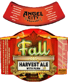 Fall - Harvest ale with plum-Getränke Bier USA Angel City Brewery 