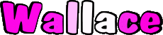 Vorname MANN - UK - USA - IRL - AUS - NZ W Wallace 